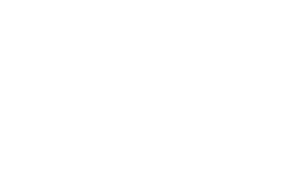 Toronto Smile Gallery Logo